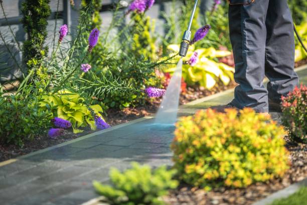 Professional Pressure Washing in Titusville, FL